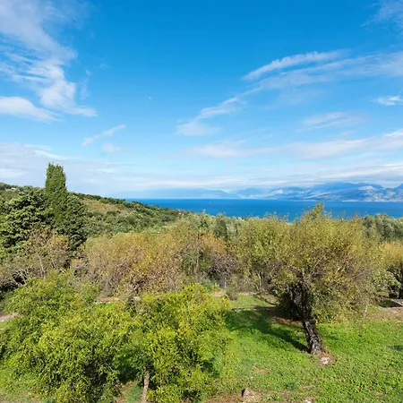 Thea Estate * Kellia